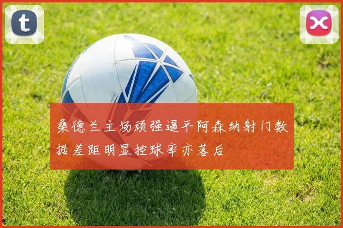 桑德兰主场顽强逼平阿森纳射门数据差距明显控球率亦落后