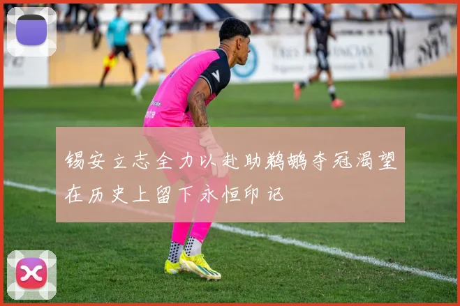 锡安立志全力以赴助鹈鹕夺冠渴望在历史上留下永恒印记