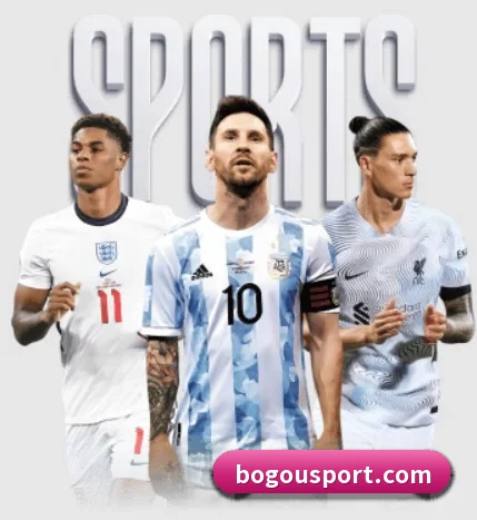 本站五个常用功能入口,赛程查询路径更短 - bogou